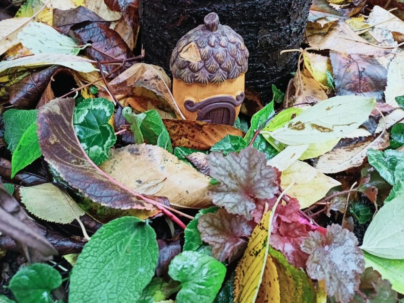  - Grădina 2025 continuare 5