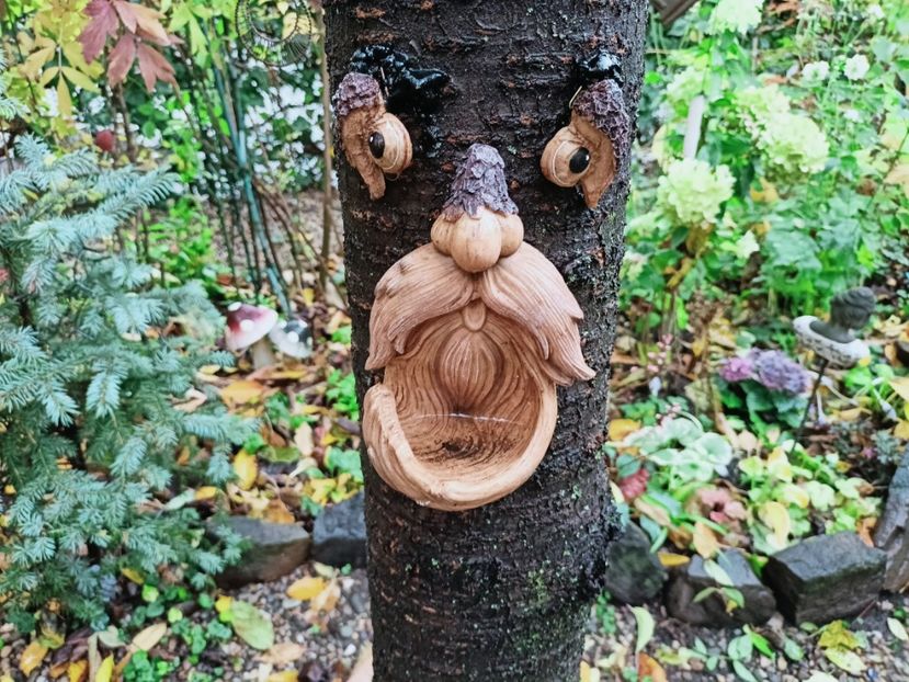  - Grădina 2025 continuare 5