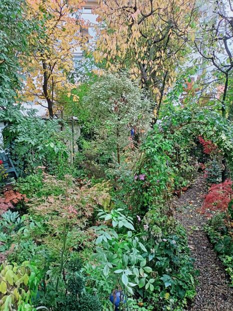  - Grădina 2025 continuare 5