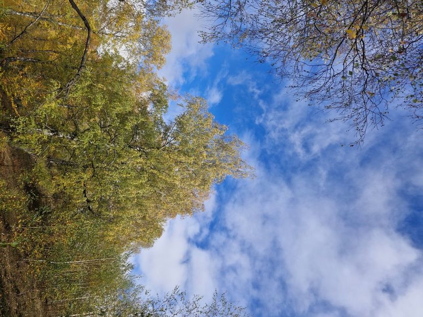  - Rânca octombrie 2025