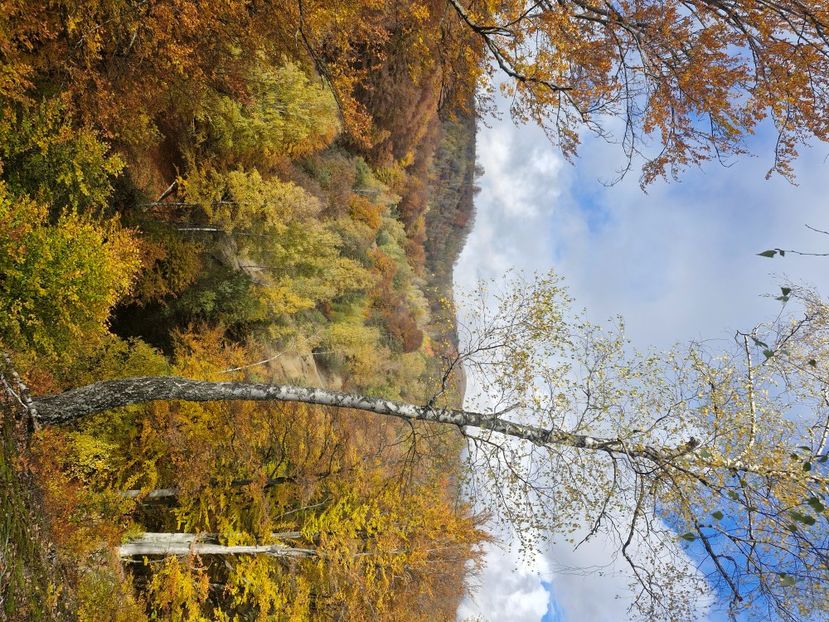  - Rânca octombrie 2025