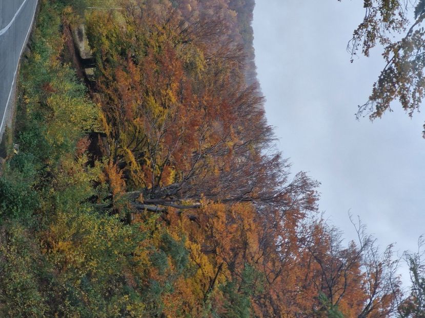  - Rânca octombrie 2025