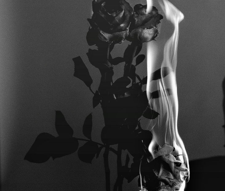 ゛04 ⸝⸝.ᐟ⋆　　Heɾ ʄɑte is iƞ ʮσuɾ ɦɑƞɗs. - Whispers of Identity