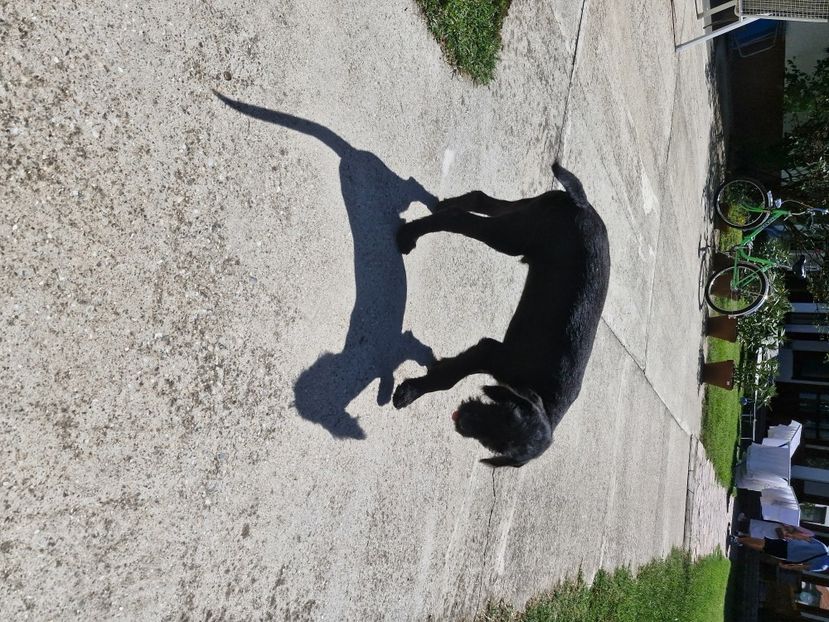  - La sârbi în august 2025