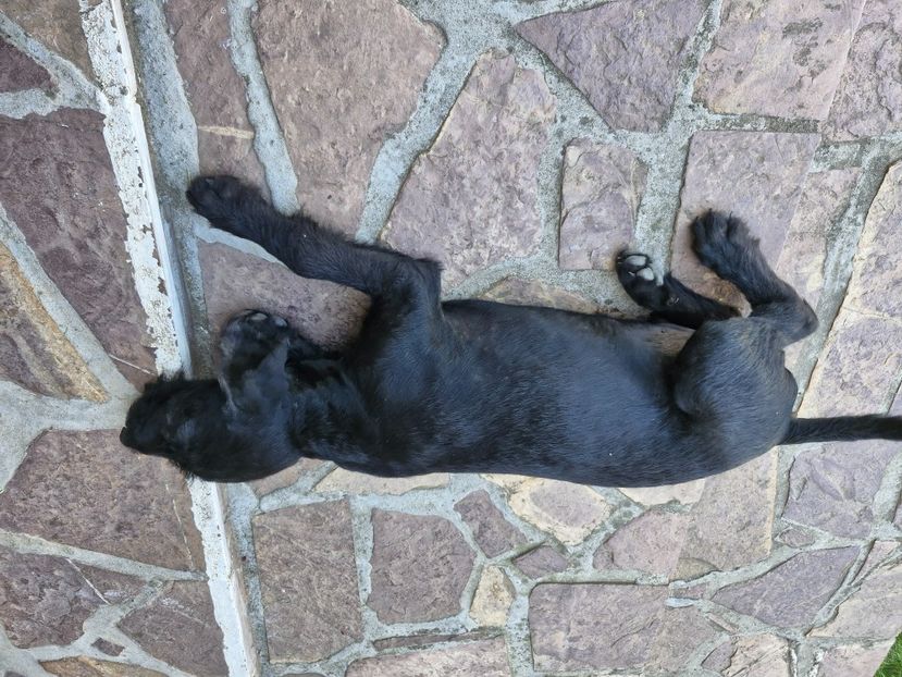  - La sârbi în august 2025