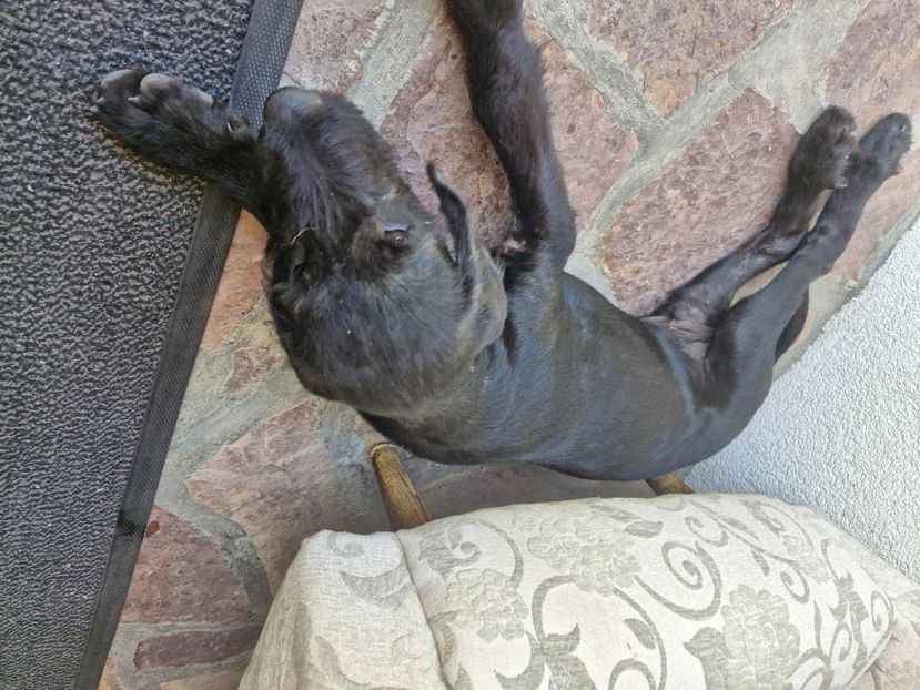  - La sârbi în august 2025