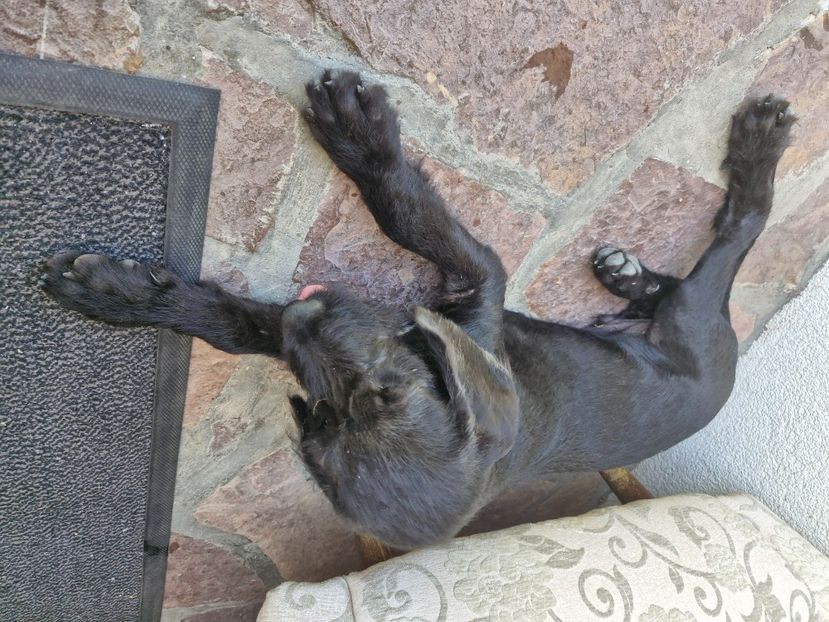  - La sârbi în august 2025