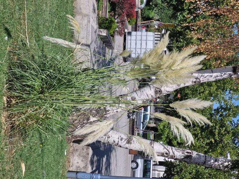  - La sârbi în august 2025