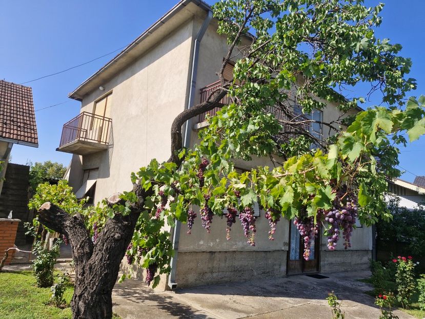  - La sârbi în august 2025