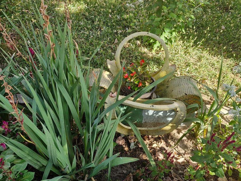  - La sârbi în august 2025