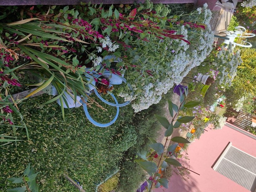  - La sârbi în august 2025