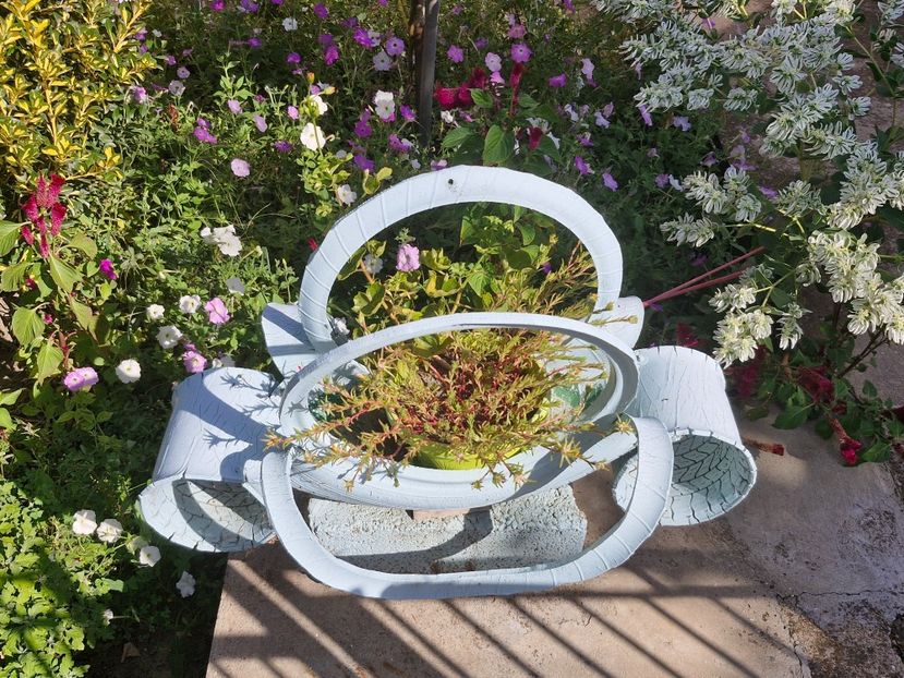  - La sârbi în august 2025