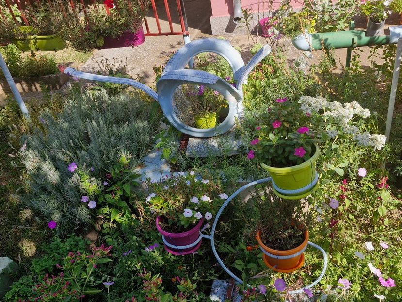  - La sârbi în august 2025