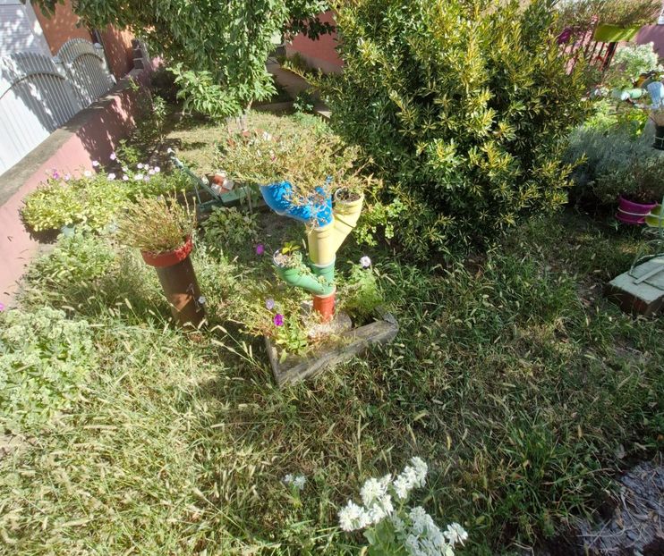  - La sârbi în august 2025