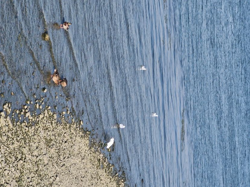  - La sârbi în august 2025