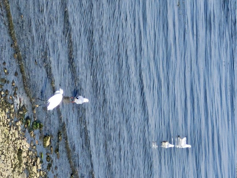  - La sârbi în august 2025