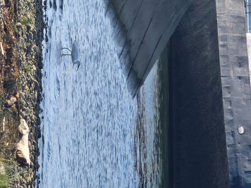  - La sârbi în august 2025