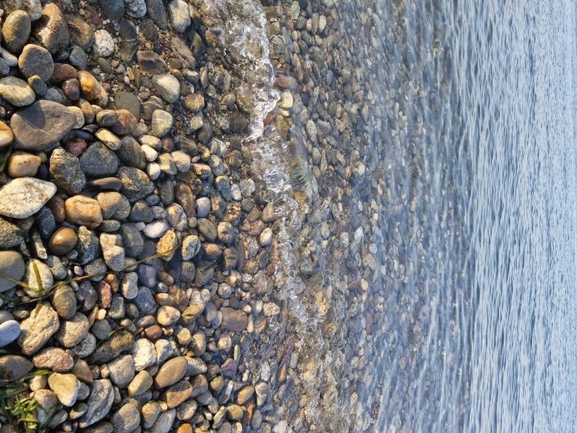  - La sârbi în august 2025