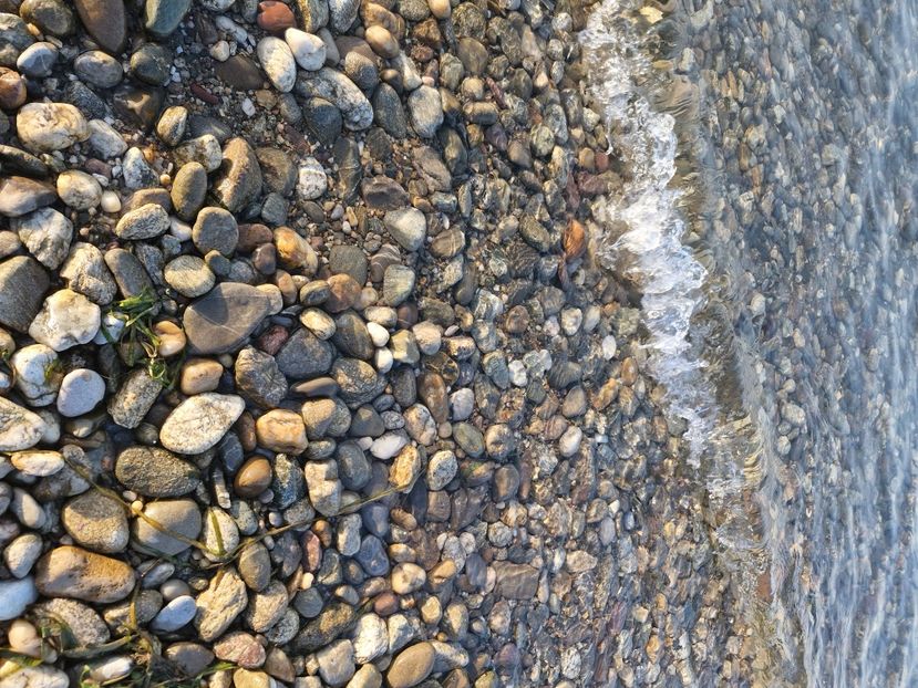  - La sârbi în august 2025