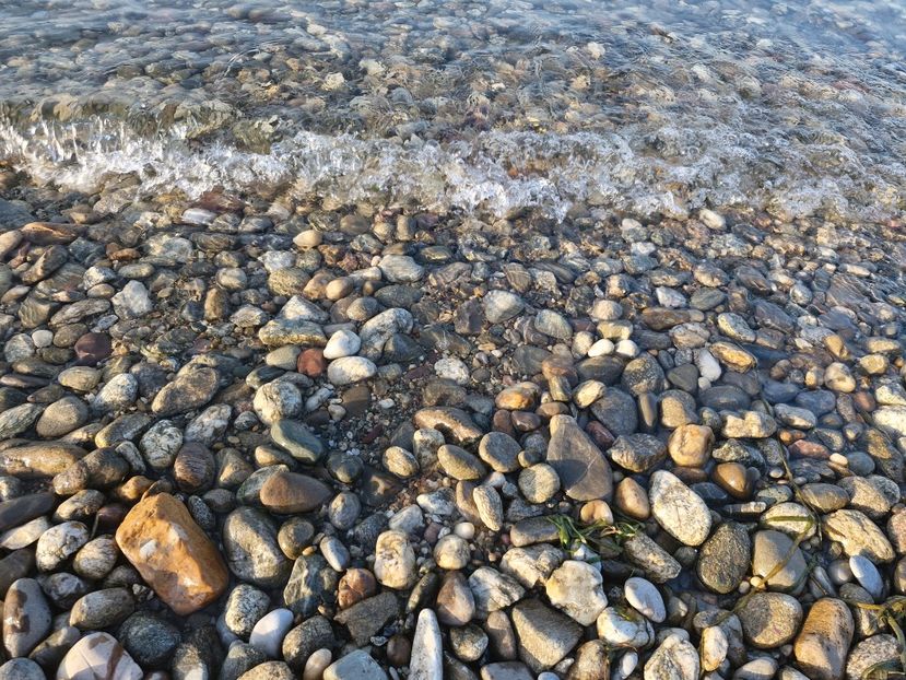  - La sârbi în august 2025