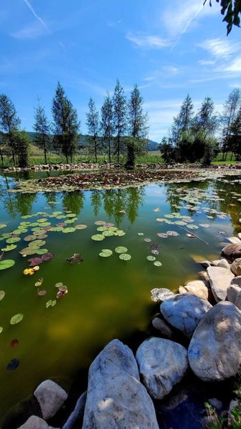  - La sârbi în august 2025