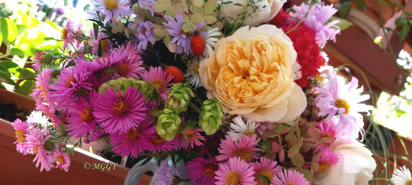 © - 01 - Floristica