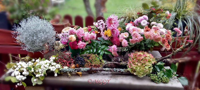 © - 01 - Floristica