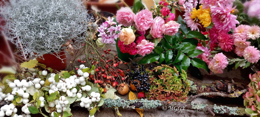 © - 01 - Floristica