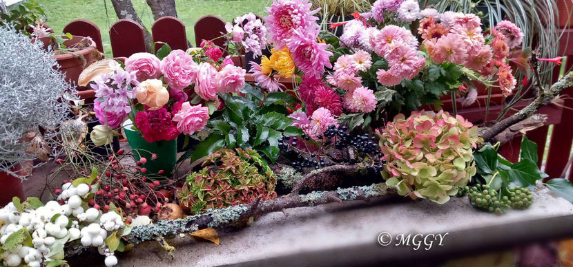 © - 01 - Floristica