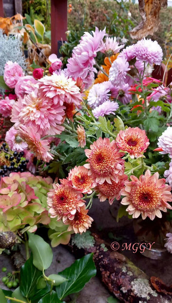 © - 01 - Floristica