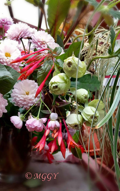 © - 01 - Floristica