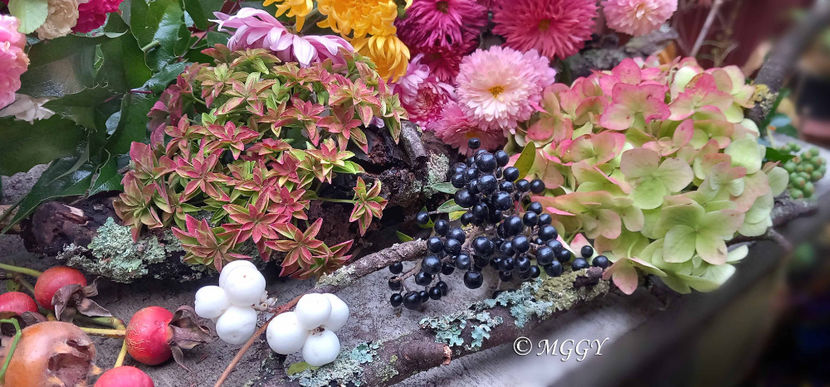 © - 01 - Floristica