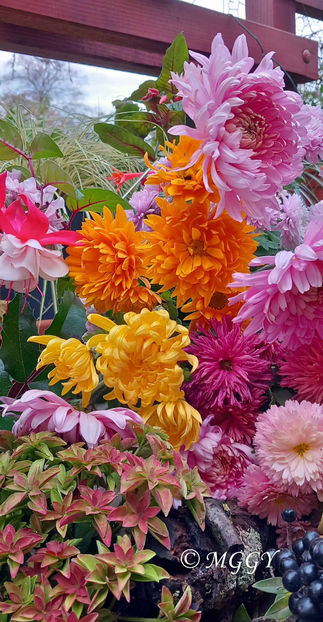 © - 01 - Floristica