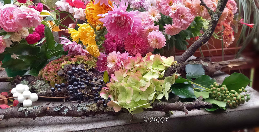 © - 01 - Floristica