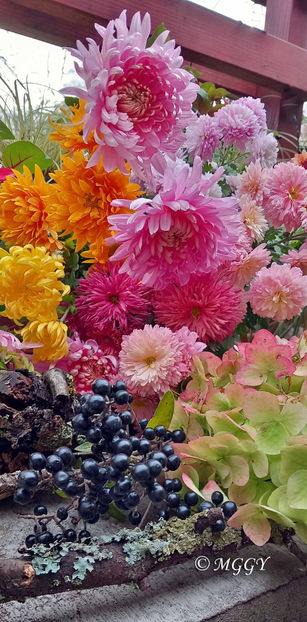 © - 01 - Floristica