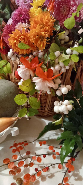 © - 01 - Floristica