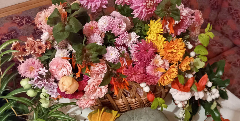 © - 01 - Floristica