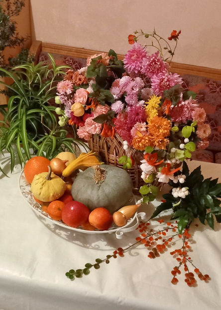 © - 01 - Floristica