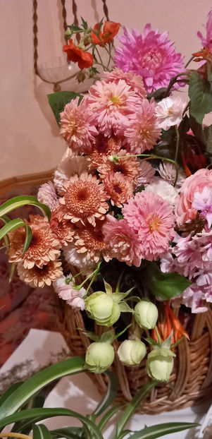 © - 01 - Floristica