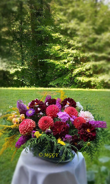 © - 01 - Floristica