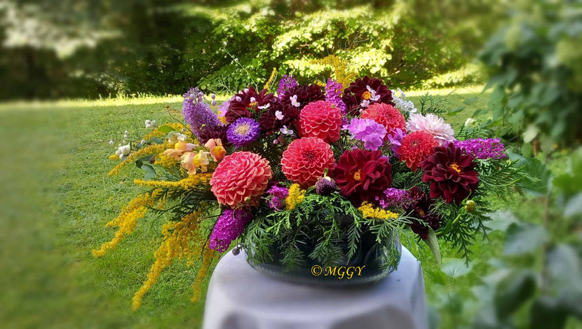 © - 01 - Floristica