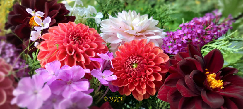 © - 01 - Floristica