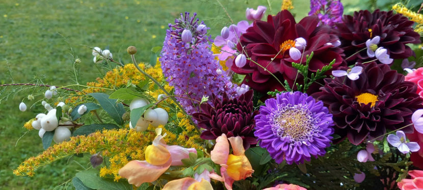 © - 01 - Floristica