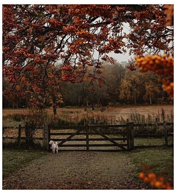 ♡ Oᥴtobᥱr 29 » - Incredibly Nostalgic