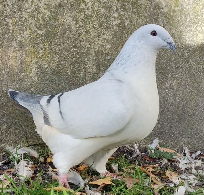 21 (F.) Archiwum - c- MLODE 2025 YOUTH