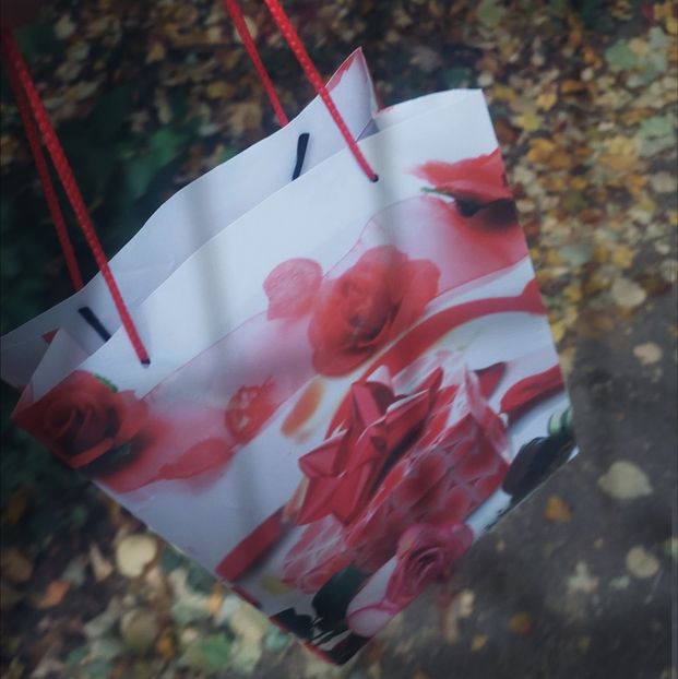 ♡ Day 156 ; 18.04.2025 - Birds of a Feather - STREAK