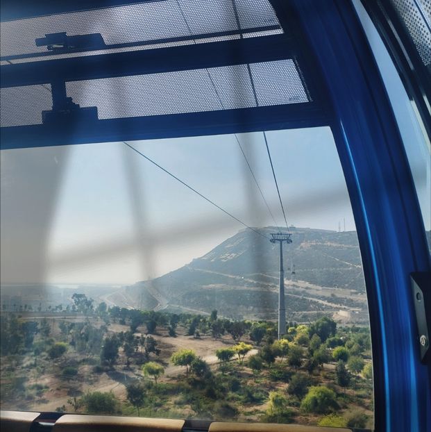 ♡ Day 157 ; 19.04.2025 - Birds of a Feather - STREAK