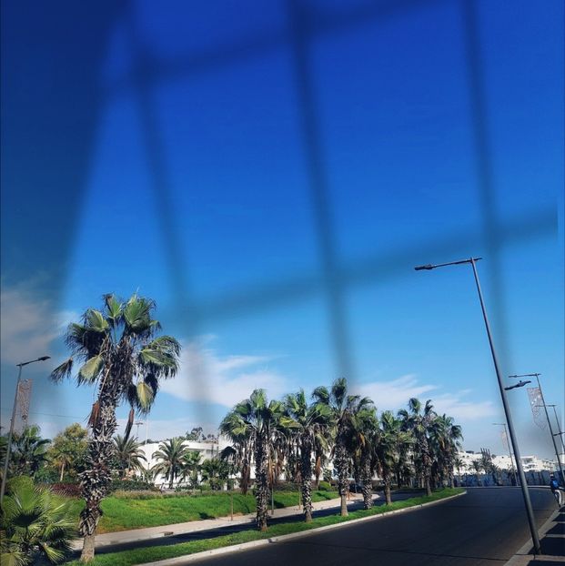 ♡ Day 173 ; 05.05.2025 - Birds of a Feather - STREAK