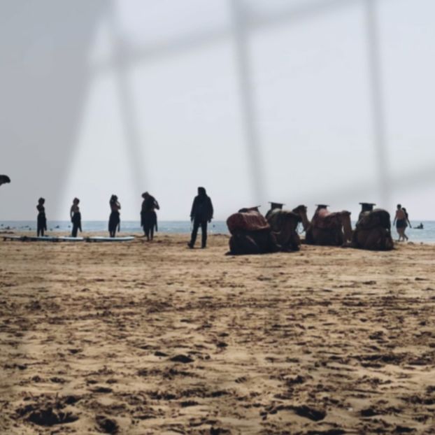 ♡ Day 177 ; 09.05.2025 - Birds of a Feather - STREAK