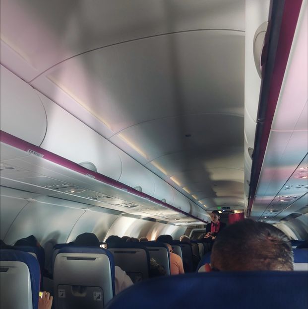 ♡ Day 180 ; 12.05.2025 - Birds of a Feather - STREAK